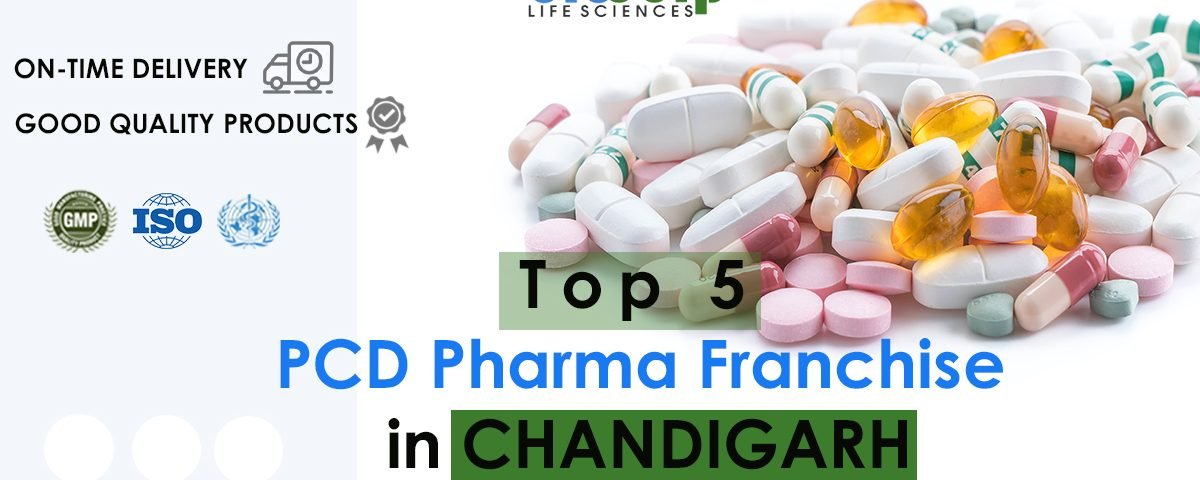 Top 5 PCD Pharma Franchise in Chandigarh