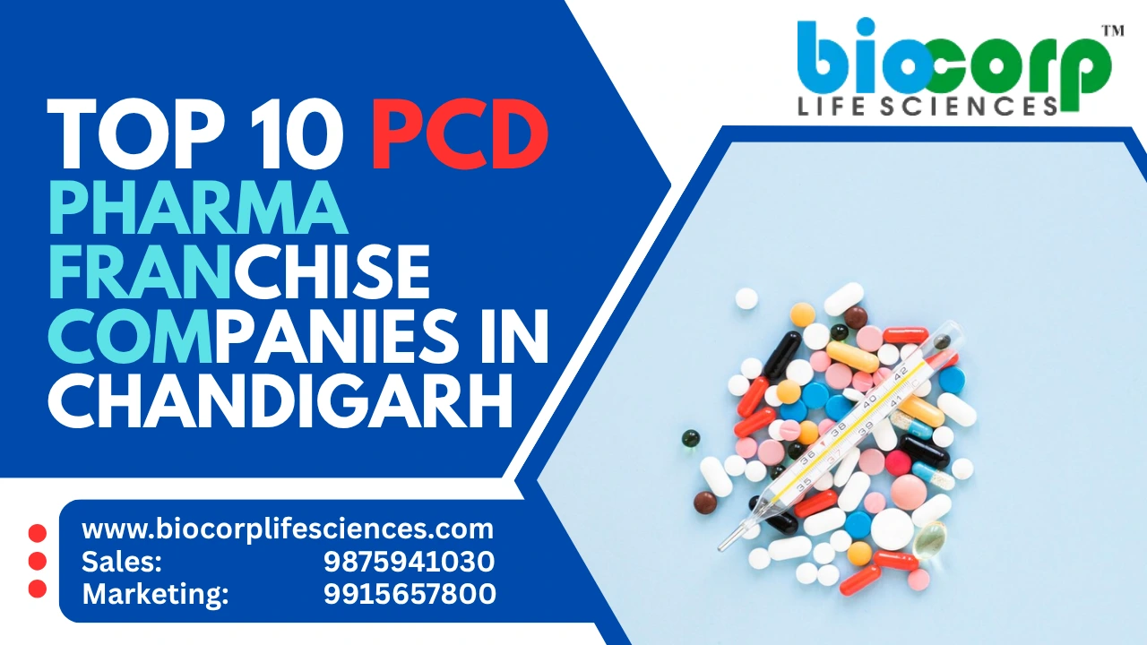 Top 10 PCD Pharma Franchise Companies in Chandigarh