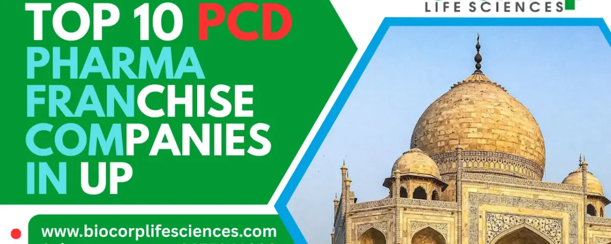 Top 10 PCD Pharma Franchise Companies in UP