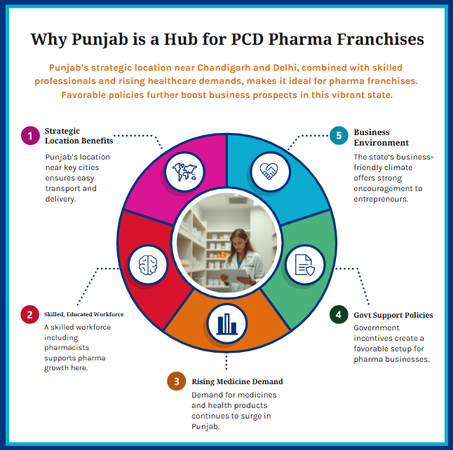 Top 10 PCD Pharma Franchise Companies in Punjab