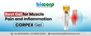 Best Gel for Muscle Pain and Inflammation